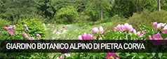 Giardino Botanico Alpino di Pietra Corva